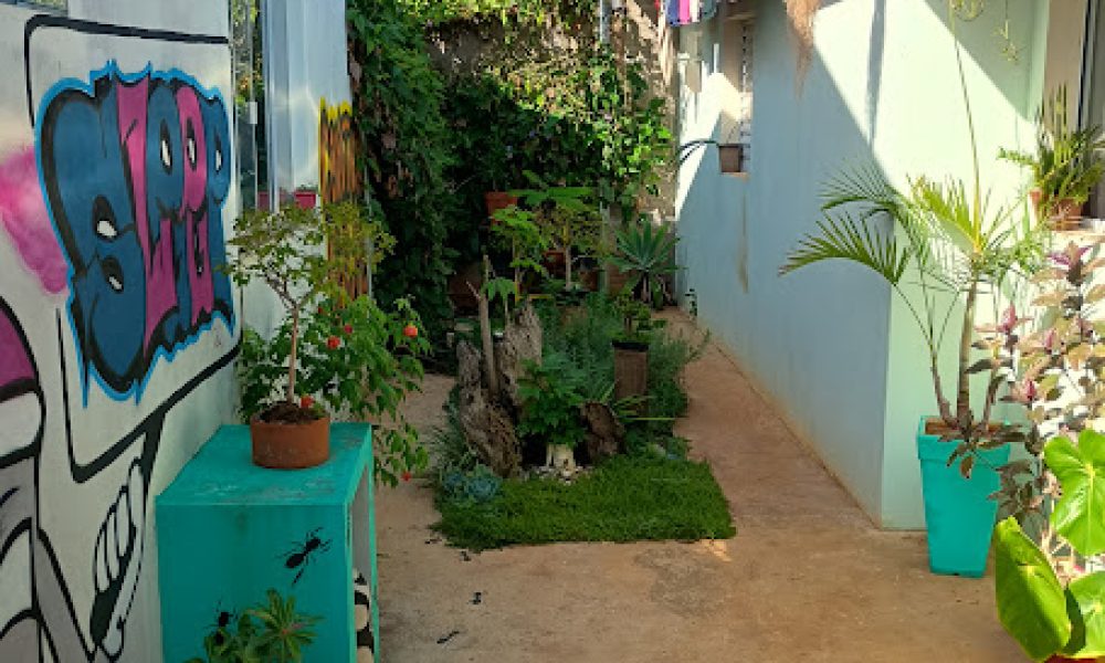 IMG_20250402_091703177_HDR